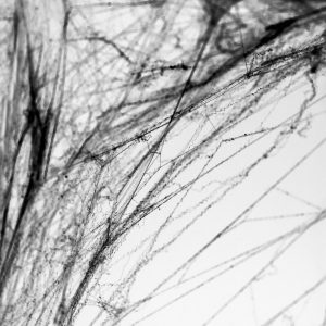 Pajkova mreža - črna