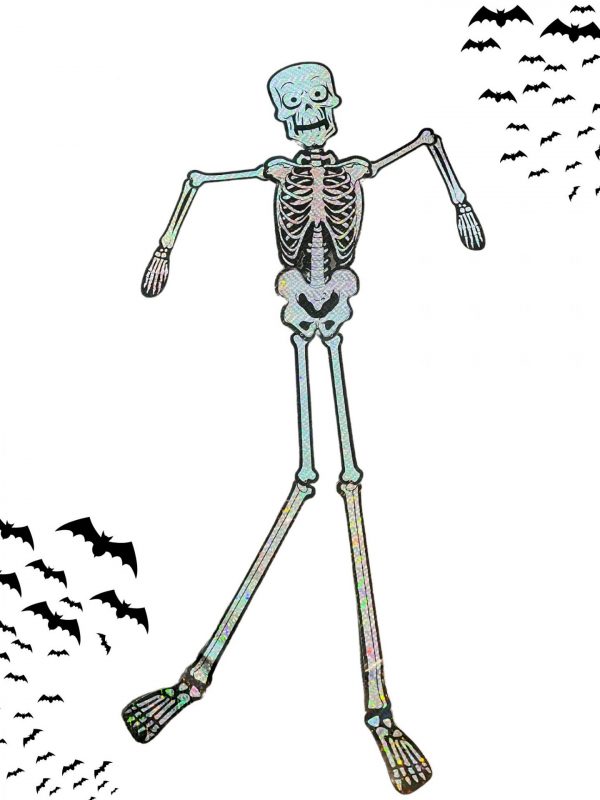 Okostnjak, 150 cm
